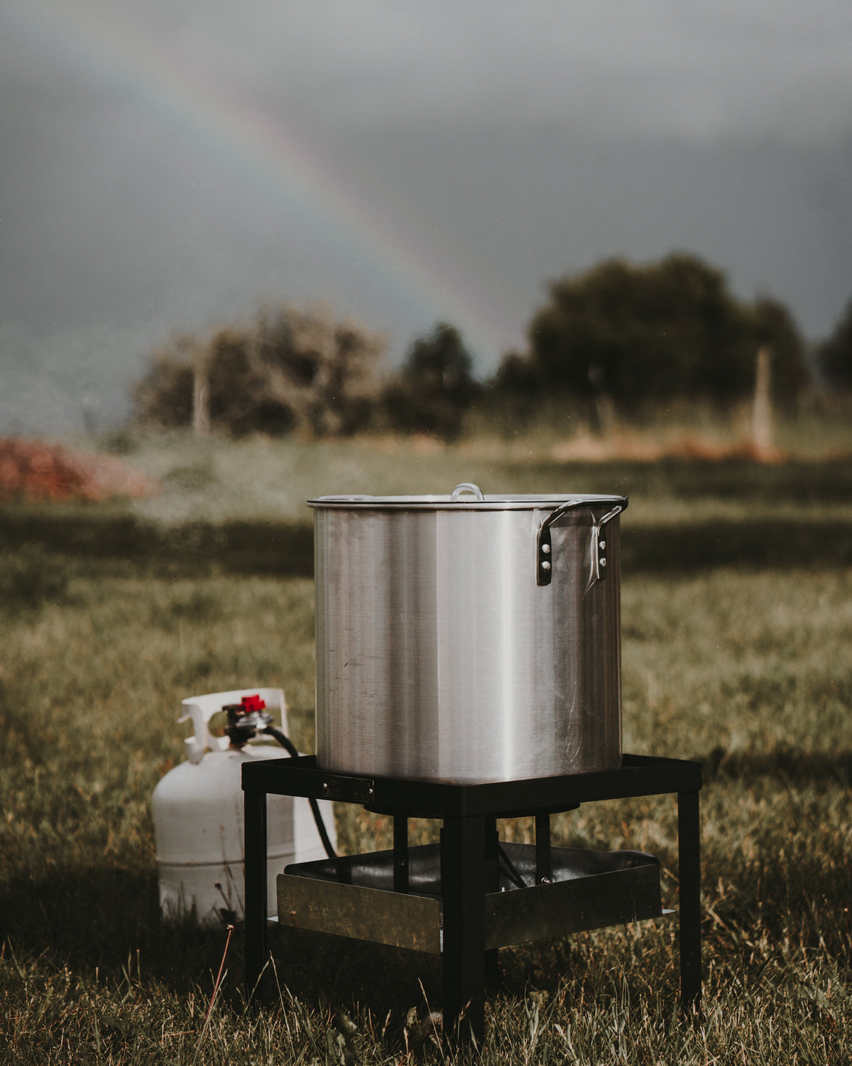 Aluminum vs. Stainless Steel Stockpots: Which Is Best for Seafood Boils and Big Outdoor Cooks?