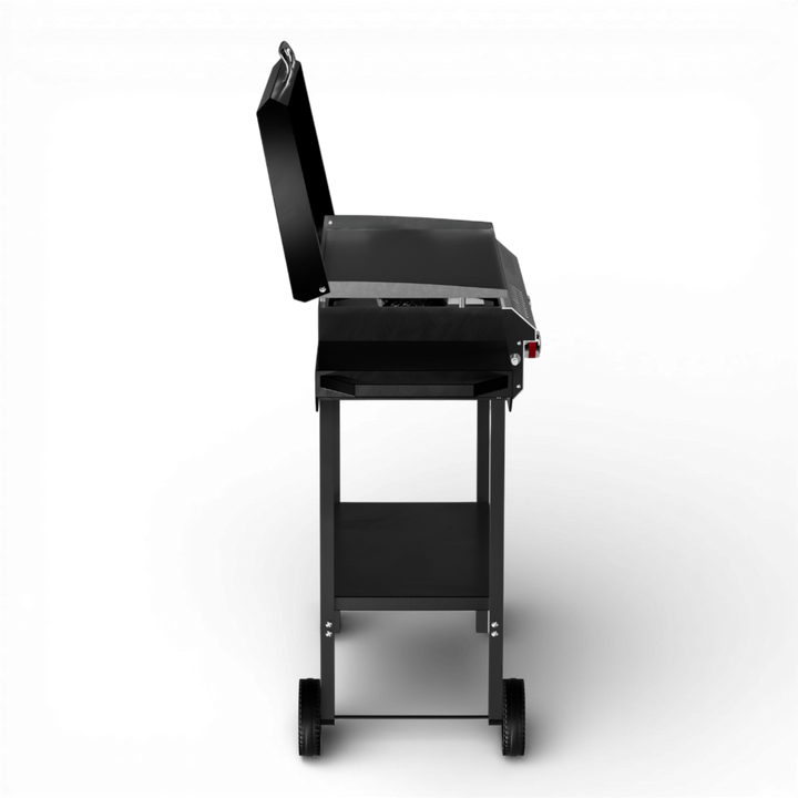 Propane 2-Burner with Griddle